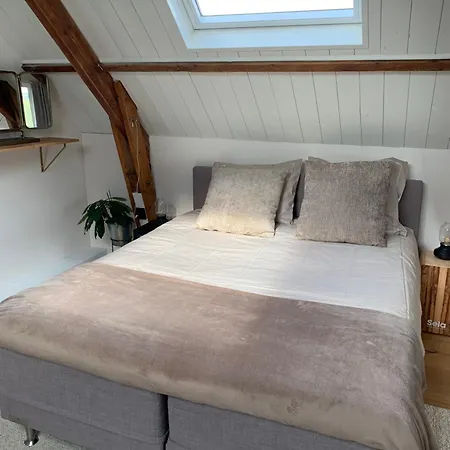 De Vrijbuiter De Cocksdorp (Texel)