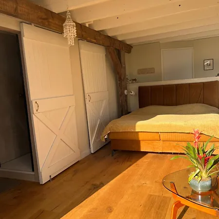 فندق مبيت وإفطار De Vrijbuiter 3*