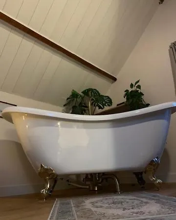 فندق مبيت وإفطار De Vrijbuiter 3*