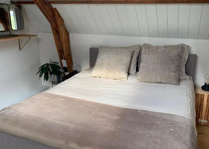 De Vrijbuiter De Cocksdorp (Texel)