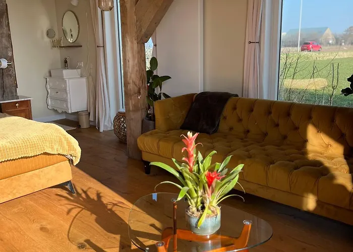 De Vrijbuiter De Cocksdorp (Texel)