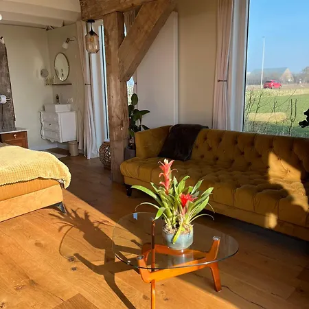 De Vrijbuiter De Cocksdorp (Texel)